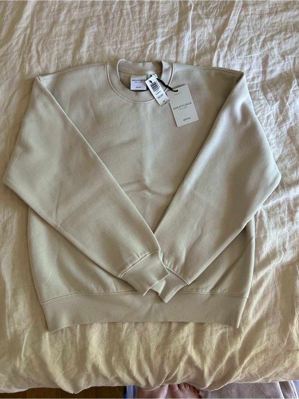 Aritzia Perfect Crew Sweatshirt in Beige